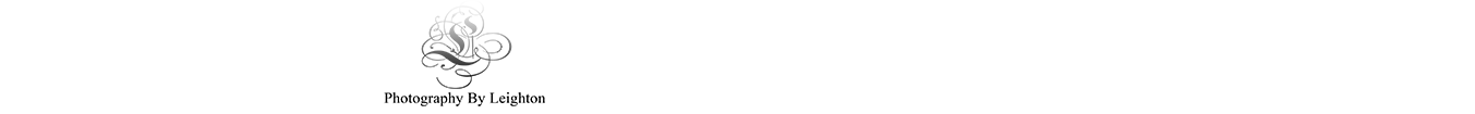 127084