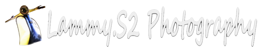 131723
