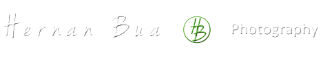 1439295