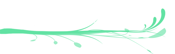 227924
