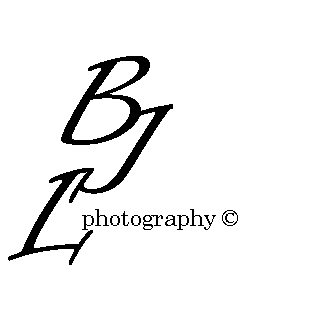 2296733