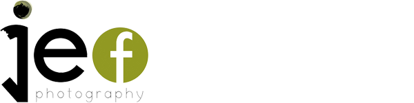 241104