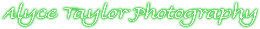 386891