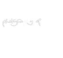 65356